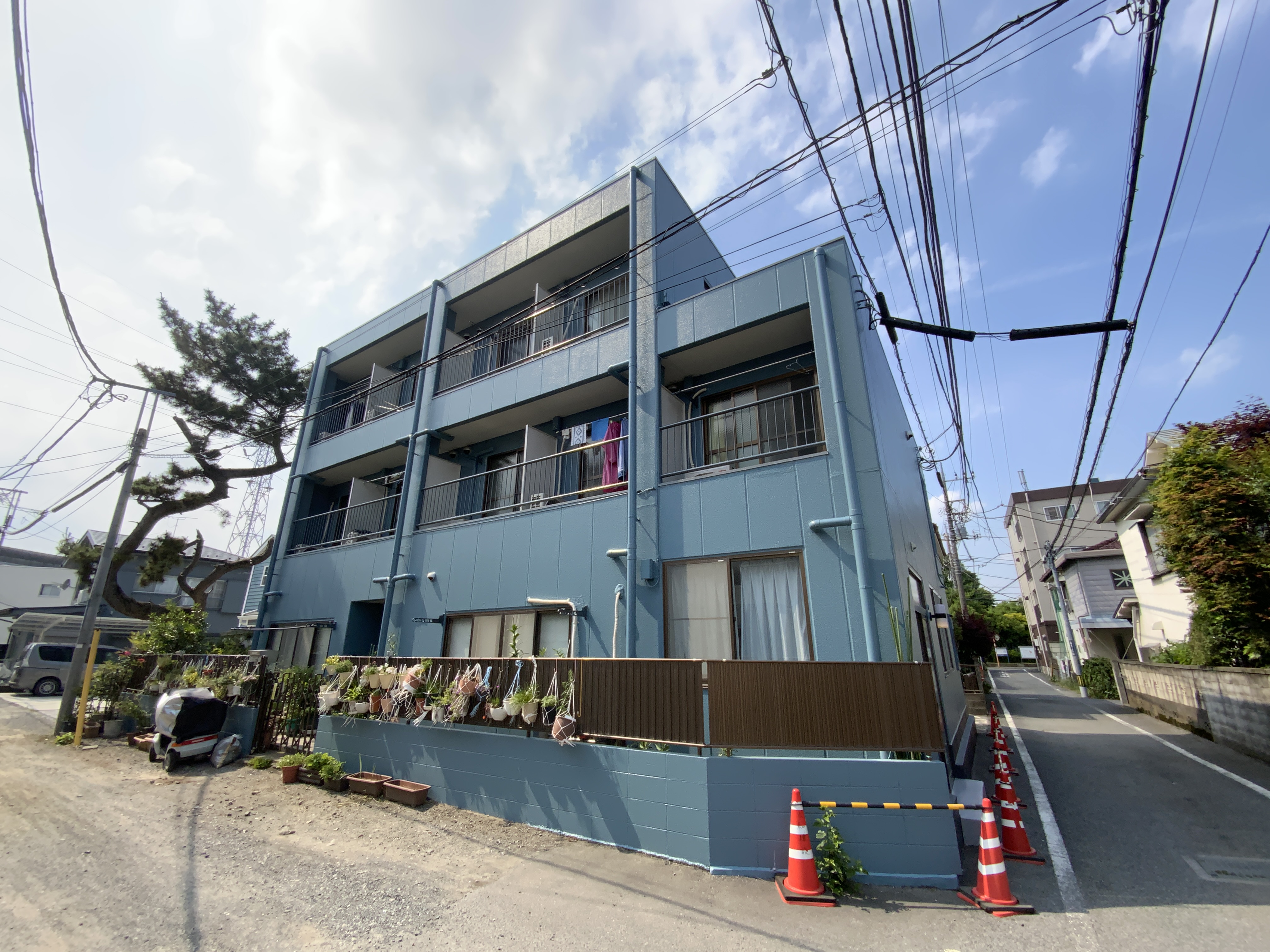 シャーリーハイツ