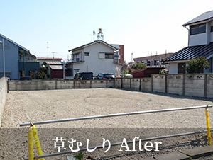 当社の管理の様子:草むしりの後